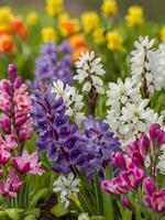 ai generiert ein Gruppe von lila und Weiß Blumen - - schön Frühling Blumen Hintergrund foto