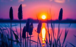 ai generiert das feurig Kugel von das Rahmen Sonne leuchtet intensiv hinter silhouettiert Rohrkolben beim das Wasser Kante foto