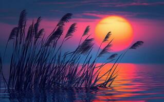 ai generiert beschwingt Sonnenuntergang Farbtöne Farbe das Himmel und reflektieren auf still Gewässer, mit Schilf im Silhouette foto