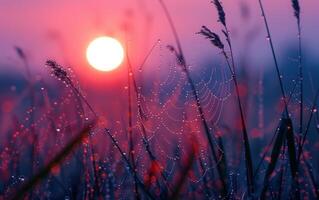 ai generiert ein zart Spinne Netz, geschmückt mit Morgen Tau, erfasst das zuerst Licht von Dämmerung foto