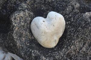 Weiß natürlich Herz geformt Stein auf ein Felsen foto