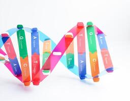 DNA Molekül Spiral- Struktur Modell- isoliert auf Weiß Hintergrund, Chromosom und Gen chemisch Wissenschaft Biologie. foto