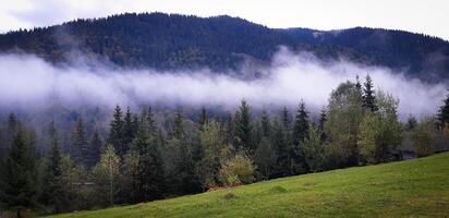 Morgen nebelig Wolken im Herbst Berg Landschaft. Ukraine, Transkarpatien. foto