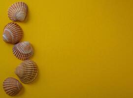 Meer Muscheln auf Gelb Hintergrund, Sommer- Urlaub, foto