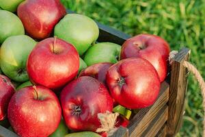rot und Grün Äpfel im ein hölzern Box auf ein sonnig Tag auf ein Grün Gras Hintergrund. Früchte, Ernte. foto