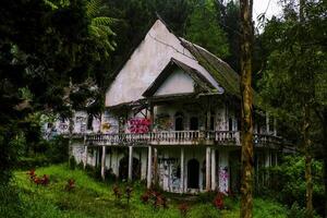 ein verlassen Haus im das Mitte von das Wald Das sieht aus ein wenig unheimlich foto