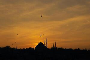 Silhouette von suleymaniye Moschee und Fische auf das Angeln Stange foto