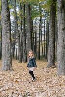 wenig Mädchen Spaziergänge durch ein dick Teppich von gefallen trocken Blätter im das Herbst Wald foto