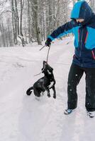 lächelnd Mann spielen Tauziehen mit ein Stock mit seine Hund während Stehen auf ein schneebedeckt Straße foto