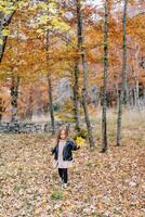 wenig Mädchen mit Gelb Blätter im ihr Hand Spaziergänge durch gefallen Blätter im das Herbst Wald, suchen beim ihr Füße foto