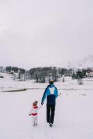 Papa und klein Kind gehen halten Hände durch ein schneebedeckt Dorf Weide. zurück Aussicht foto