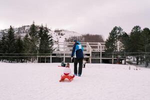 Papa klettert ein schneebedeckt Hügel mit ein klein Kind im ein Schlitten. zurück Aussicht foto