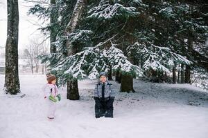 wenig Mädchen sieht aus beim ihr lächelnd Mutter Sitzung unter ein schneebedeckt Fichte Baum im ein Nadelbaum Wald foto