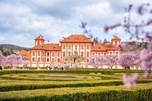 Prag, Tschechisch Republik - - März 17, 2024. troja Palast im Frühling mit Blühen Sakura im Prag, Tschechisch Republik. hoch Qualität Foto