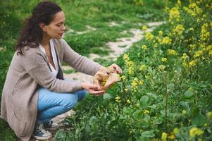 voll Länge Porträt von jung Frau Kräuterkenner Botaniker pflücken Heilung Blumen im das Wiese im das Berge draußen foto