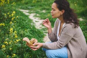 Kräuterkenner schnüffelt ein Blume während sammelt medizinisch Kräuter im das Berge draußen. Naturheilkunde wie Alternative Medizin foto