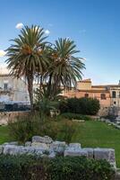 Palmen beim Überreste von Tempel von Apollo beim Piazza Abonnieren auf ortigia Insel foto