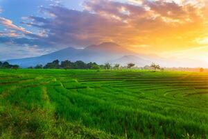 schön Morgen Aussicht von Indonesien von Berge und tropisch Wald foto