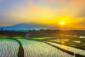 schön Morgen Aussicht von Indonesien von Berge und tropisch Wald foto