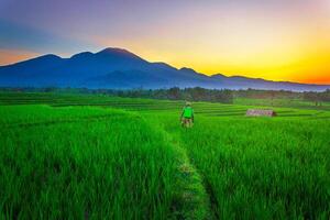 schön Morgen Aussicht von Indonesien von Berge und tropisch Wald foto