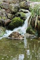 wenig Wasserfall. Wasser ist fallen Nieder in das winzig Teich im das Mitte von das Ring Park im das Stadt, Dorf von würzburg. klein Nizza Park. Strom von Wasser. Grün Pflanzen, grünlich See foto