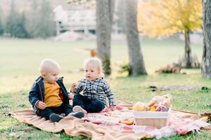 wenig Junge und Mädchen sind Sitzung auf ein Decke Nächster zu ein Korb von Essen im das Park foto