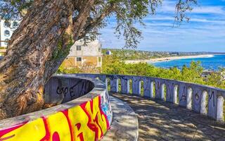 puerto escondido Oaxaca Mexiko 2023 groß tropisch Baum Pflanze im puerto escondido Mexiko. foto