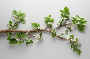 ai generiert Blumen- Mimikry von Mensch Lunge foto