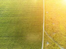 Antenne Aussicht auf Grün Weizen Feld und Straße im Landschaft. Feld von Weizen weht im das Wind auf Sonnenuntergang. jung und Grün Ährchen. Ohren von Gerste Ernte im Natur. Agronomie, Industrie und Essen Produktion foto