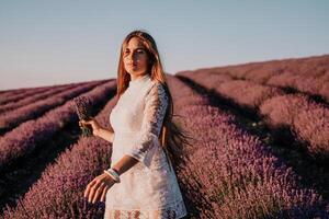 Frau Lavendel Feld. glücklich sorglos Frau im ein Weiß Kleid Gehen im ein Lavendel Feld und riechen ein Lavendel Strauß auf Sonnenuntergang. Ideal zum warm und inspirierend Konzepte im Fernweh und Reise. foto