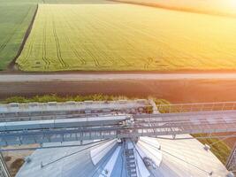 Korn Silos auf ein Grün Feld Hintergrund mit warm Sonnenuntergang Licht. Korn Aufzug. Metall Korn Aufzug im landwirtschaftlich Zone. Landwirtschaft Lager zum Ernte. Antenne Aussicht von landwirtschaftlich Fabrik. niemand. foto