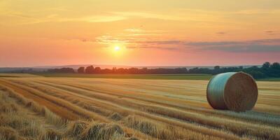 ai generiert Sonnenuntergang Ernte, einsam Heu Ballen Landschaft foto