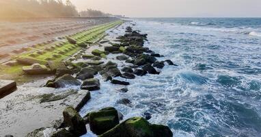 Küsten Erosion Schutz, Moos bedeckt Tetrapoden Meer Wellen foto
