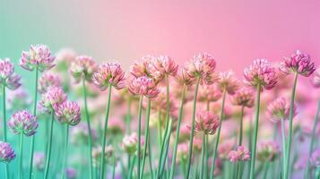 ai generiert ein beschwingt Anzeige von Blühen wild Lauch Blumen präsentieren ihr Leben Fahrräder, isoliert auf ein Gradient Hintergrund foto