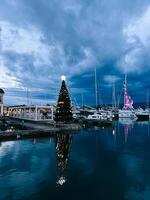 Weihnachten Baum dekoriert mit leuchtend Girlanden steht im das Hafen in der Nähe von das Yachten foto