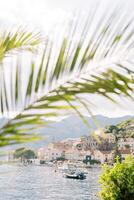 Aussicht durch Palme Geäst von Boote Stehen aus das Küste von pesas. Montenegro foto