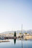 Weihnachten Baum steht auf das Seebrücke in der Nähe von festgemacht Segeln Yachten gegen das Hintergrund von das Berge. Porto, Montenegro foto