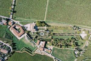 Grün Weinberge in der Nähe von Villa Rizzardi. Valpolicella, Italien. Drohne foto