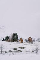 zwei Geschichte hölzern Hütten unter Bäume im ein schneebedeckt Dorf beim das Fuß von das Berge foto