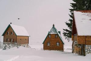hölzern Häuser im ein schneebedeckt nebelig Dorf foto