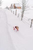 wenig Mädchen Lügen im ein Schneeverwehung auf ihr Bauch in der Nähe von ein Dorf Straße und sieht aus nach vorne foto