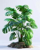 ai generiert 3d Modell- von ein tropisch Zimmerpflanze wachsend auf ein Felsen foto