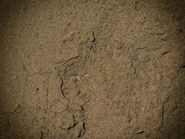Textur von dunklem Sand am Meer foto