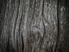 dunkle Holzstruktur im Garten foto