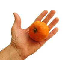 Mandarinen auf Hand foto