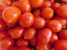 Tomaten im das Küche foto