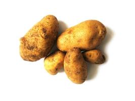 Kartoffeln auf weißem Hintergrund foto