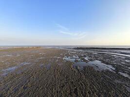 Mangrove Wald und ein hell Himmel von Samutsakorn im Thailand. foto