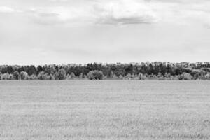 schöne horizontlandschaft in der dorfwiese auf natürlichem farbhintergrund foto