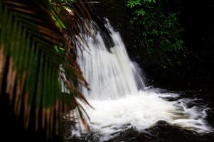 Wasserfall groß Insel Hawaii mit Grün Pflanzen foto
